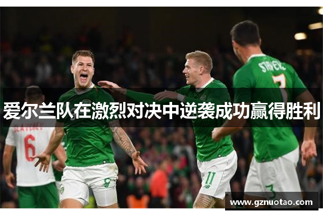 爱尔兰队在激烈对决中逆袭成功赢得胜利