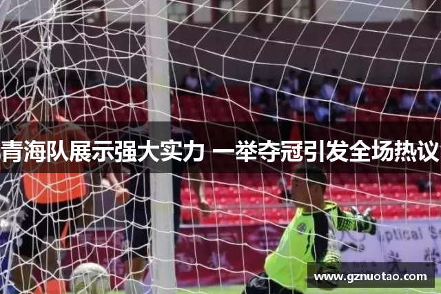青海队展示强大实力 一举夺冠引发全场热议