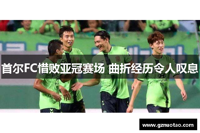 首尔FC惜败亚冠赛场 曲折经历令人叹息