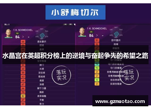 水晶宫在英超积分榜上的逆境与奋起争先的希望之路