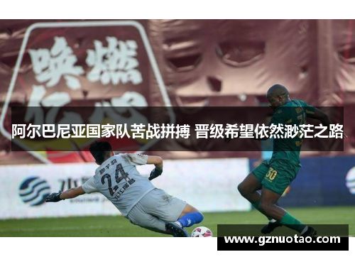 阿尔巴尼亚国家队苦战拼搏 晋级希望依然渺茫之路
