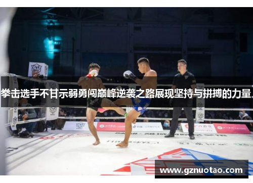拳击选手不甘示弱勇闯巅峰逆袭之路展现坚持与拼搏的力量