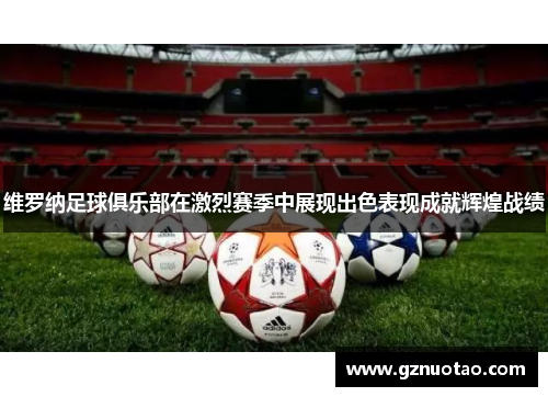 维罗纳足球俱乐部在激烈赛季中展现出色表现成就辉煌战绩