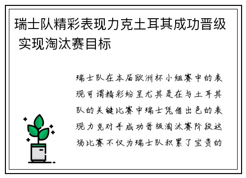 瑞士队精彩表现力克土耳其成功晋级 实现淘汰赛目标
