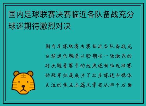 国内足球联赛决赛临近各队备战充分球迷期待激烈对决