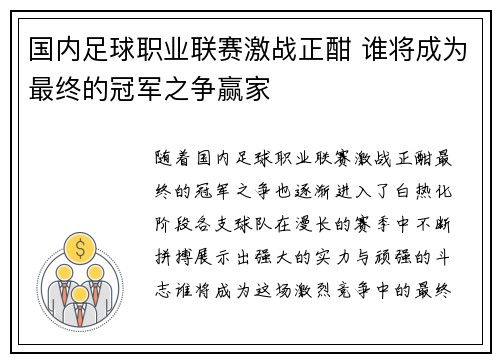 国内足球职业联赛激战正酣 谁将成为最终的冠军之争赢家