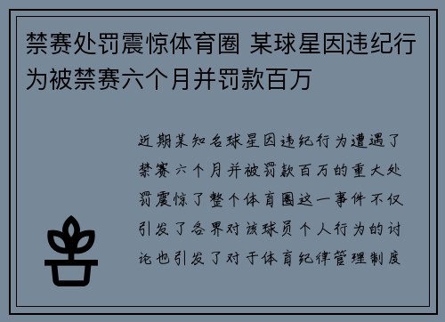 禁赛处罚震惊体育圈 某球星因违纪行为被禁赛六个月并罚款百万